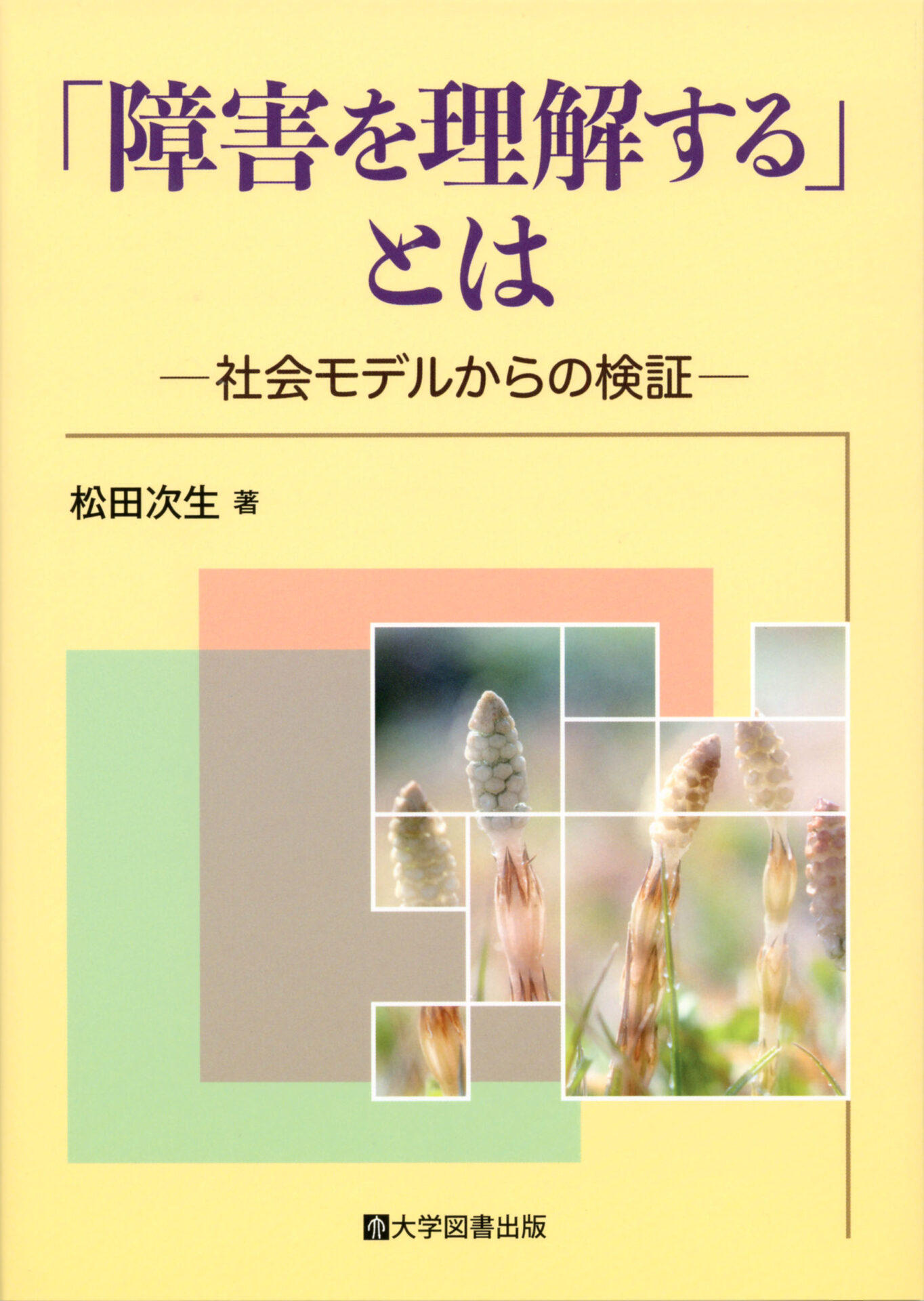 障害を理解する」とは―社会モデルからの検証― | 教育関係図書の株式会社大学図書出版